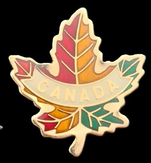 Canada Maple Leaf pin- epoxy, Verzenden, Nieuw, Stad of Land, Speldje of Pin