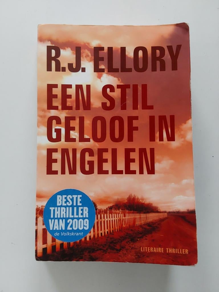 R.J. Ellory : Een Stil Geloof In Engelen, Gelezen, Europa overig, Ophalen of Verzenden, R.J. Ellory