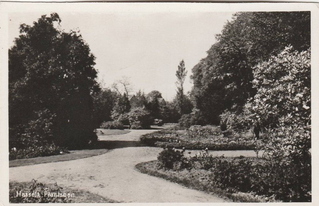 hasselt- plantsoen, Verzamelen, Ophalen of Verzenden, 1940 tot 1960, Friesland