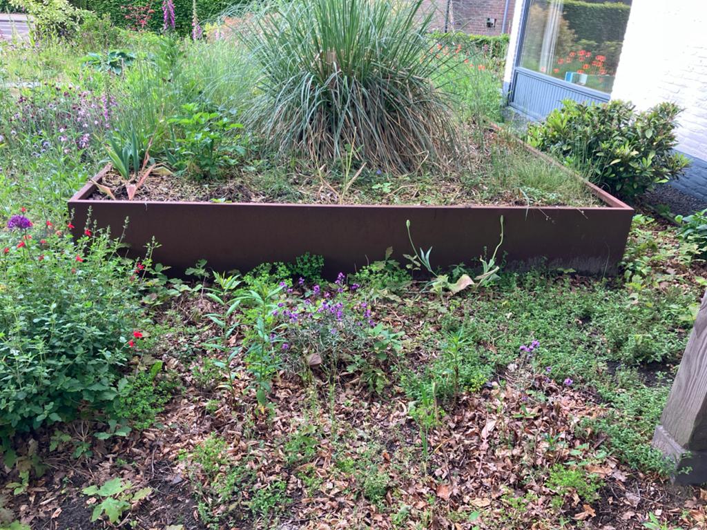 Cortenstaal plantenbak 5x3m zonder bodem - ophalen, Tuin en Terras, Ophalen, Gebruikt, 100 cm of meer, Metaal