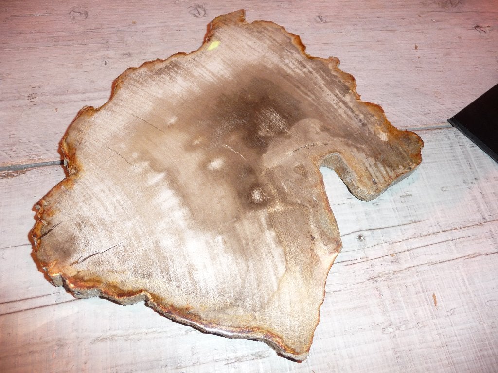 Nieuw versteende houten stam Manggis boomschorsen uit Bali., Ophalen of Verzenden