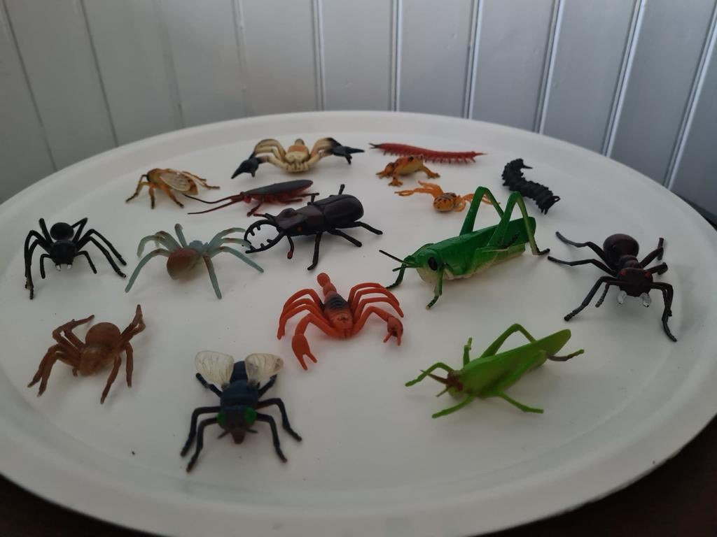 Insecten, Ophalen of Verzenden, Zo goed als nieuw, Overige soorten, Beeldje of Figuurtje