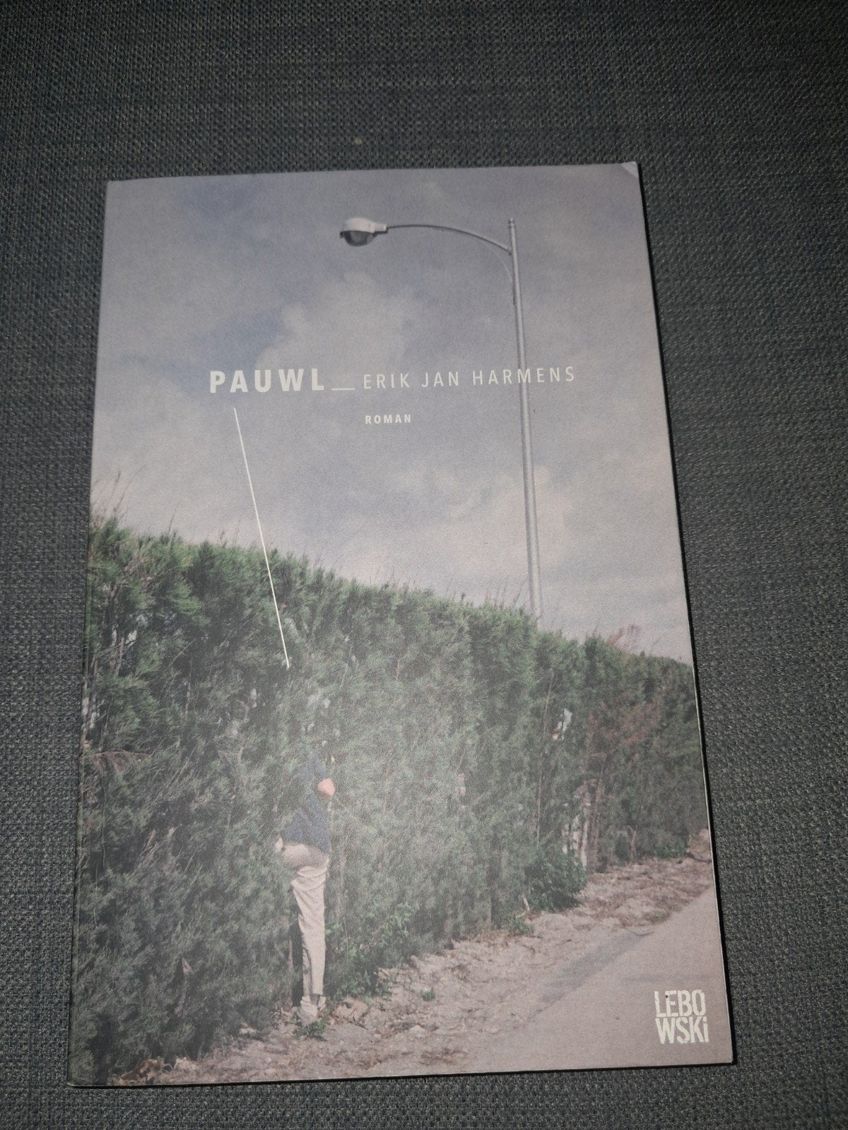 Pauwl - Erik Jan Harmens (Roman), Boeken, Ophalen of Verzenden, Zo goed als nieuw, Erik Jan Harmens, Nederland