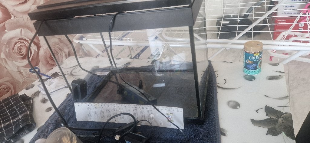 Aquarium, Ophalen, Inclusief deksel, Gebruikt, Leeg aquarium