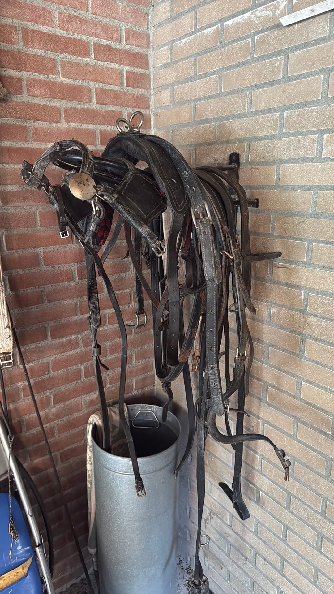 Paardentuig voor wels pony, Dieren en Toebehoren, Ophalen, Gebruikt, Pony