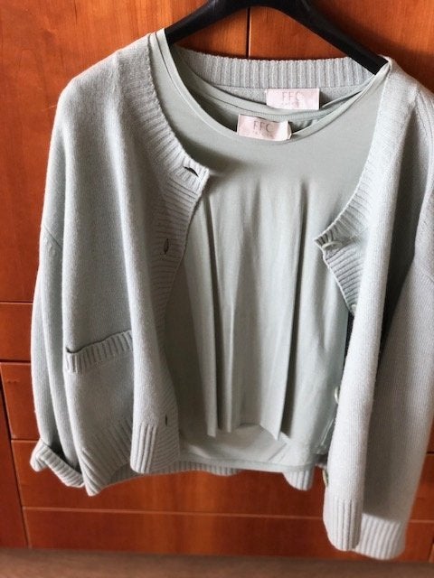 FFC wollen mint vest met shirt maat 40/42, Kleding | Dames, Verzenden, Zo goed als nieuw, Maat 38/40 (M), Groen