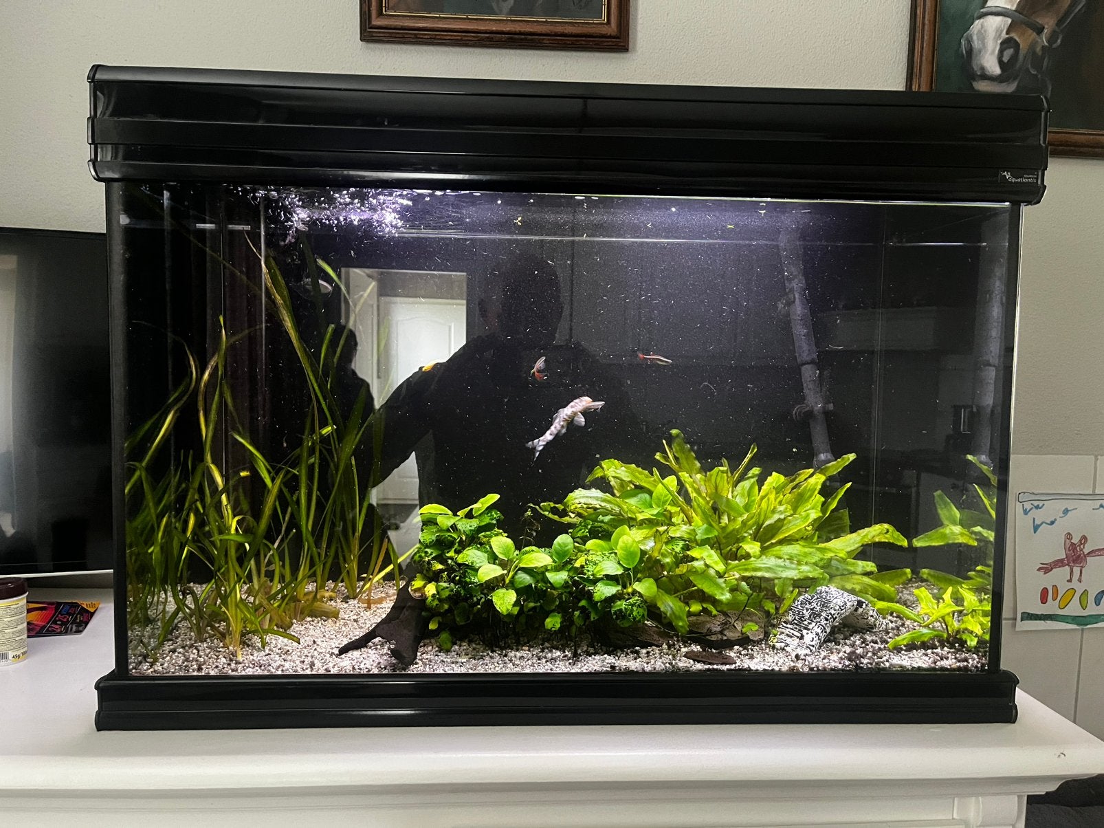 Aquatlantis Aquarium + Nieuwe BioBox 2, Ophalen, Gebruikt, Leeg aquarium, Aquatlantis