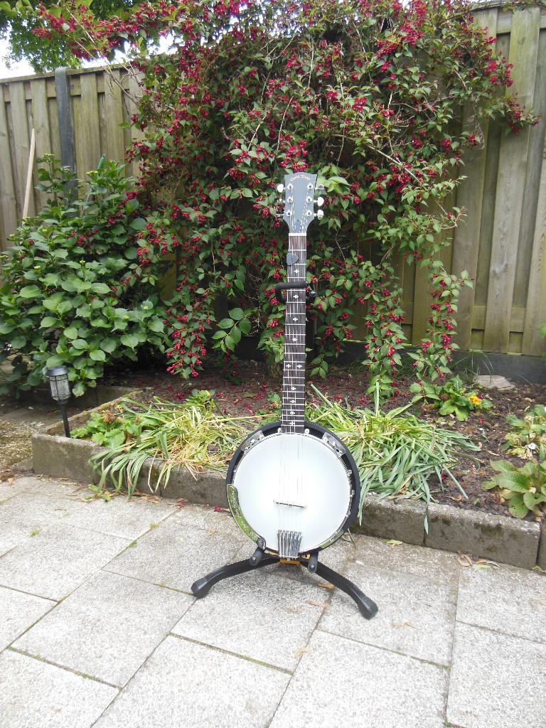 Gold Tone GitaarBanjo, Muziek en Instrumenten, Snaarinstrumenten | Banjo's, Ophalen, Zo goed als nieuw, Gitaarbanjo