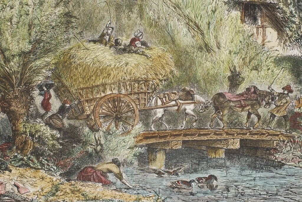 Hooikar - Originele antieke illustratie rond 1900, Verzenden, Voor 1940, Gebruikt, Overige onderwerpen