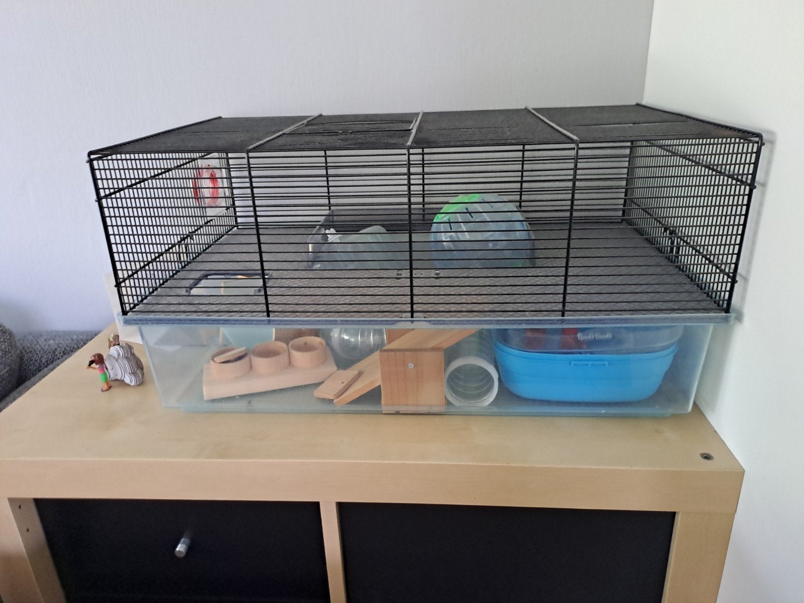 Hamsterkooi, Dieren en Toebehoren, Ophalen, Minder dan 75 cm, Kooi, Minder dan 60 cm