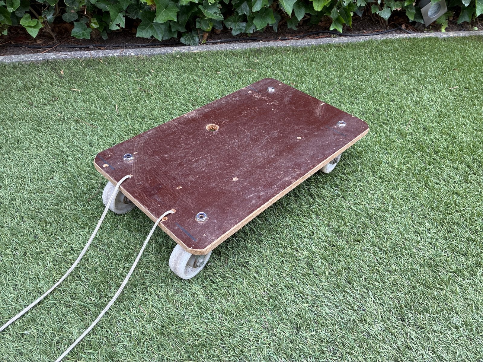 Transport hondje met stevige nylon wielen en trekkoord, Ophalen of Verzenden, Gebruikt, Overige typen