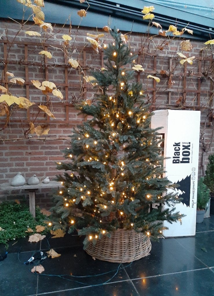 kerstboom, Diversen, Kerst, Ophalen, Gebruikt