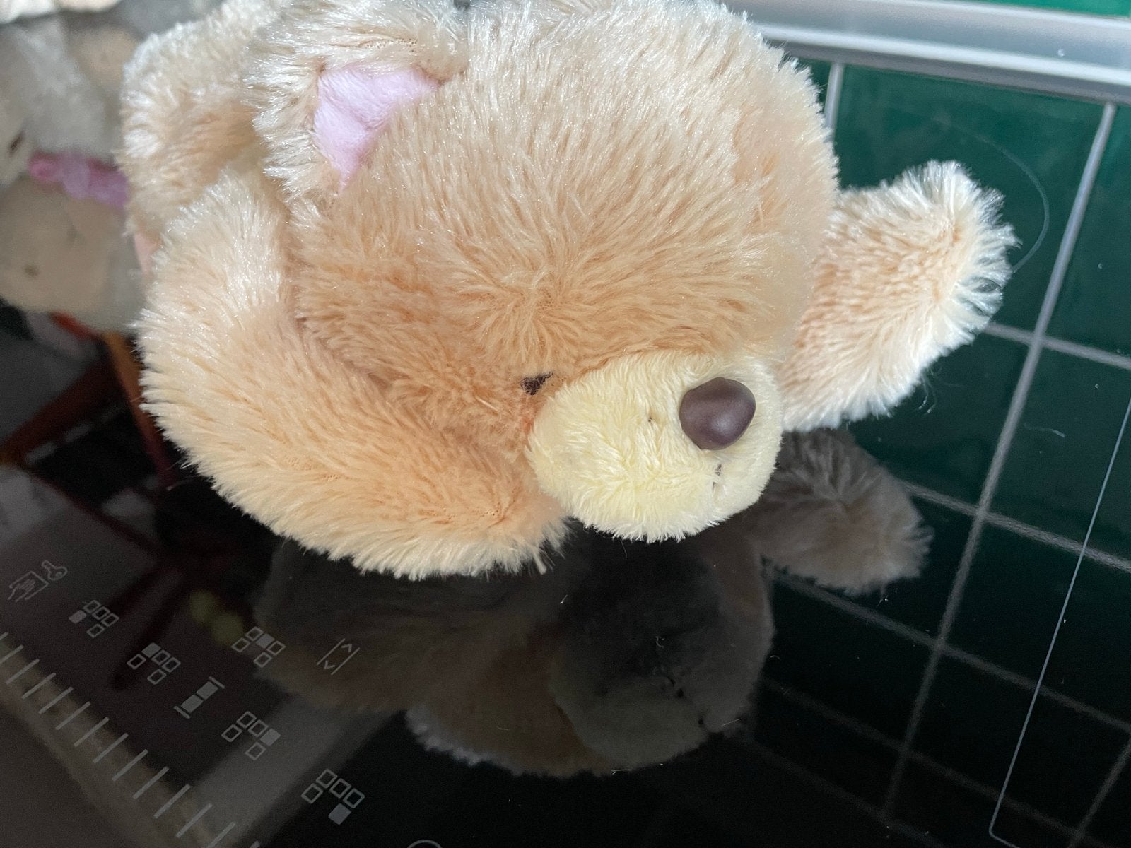 Forever Bear Knuffel - Zo goed als nieuw, 20 cm, Overige merken, Beer, Ophalen of Verzenden, Zo goed als nieuw