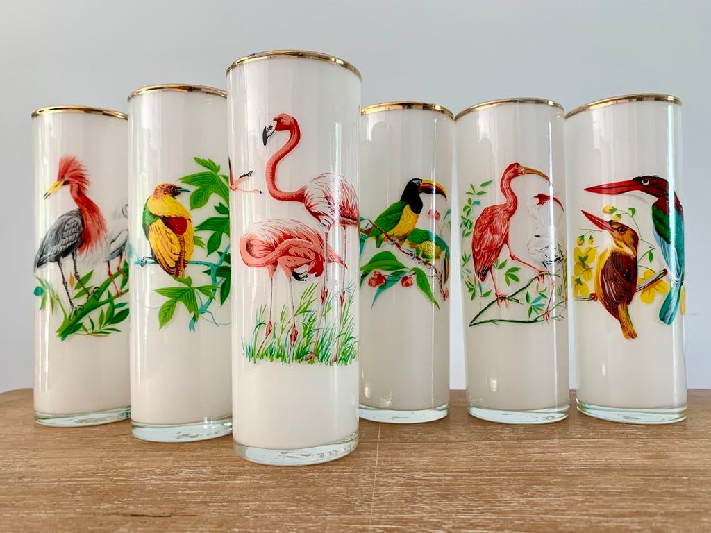 Vintage longdrink glazen exotische vogels, 6 stuks set, Antiek en Kunst, Ophalen of Verzenden