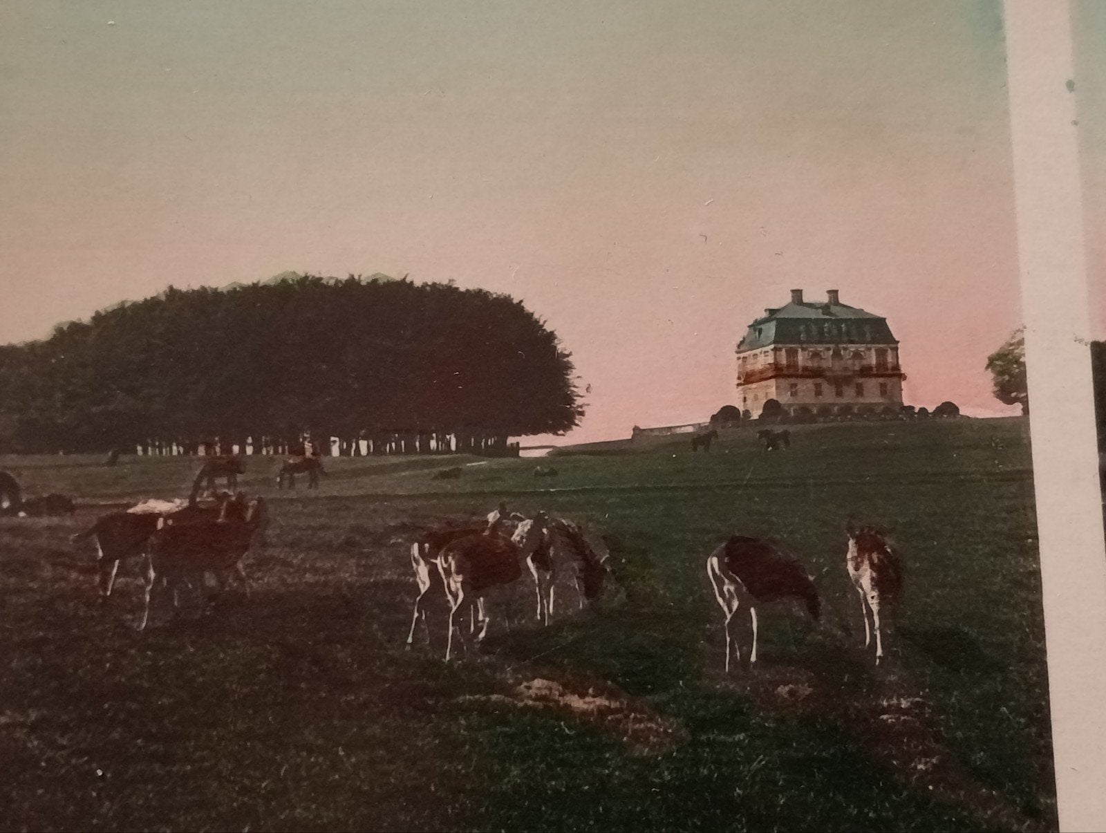 Stereofoto Denemarken, Ophalen of Verzenden, Voor 1940, Gebruikt