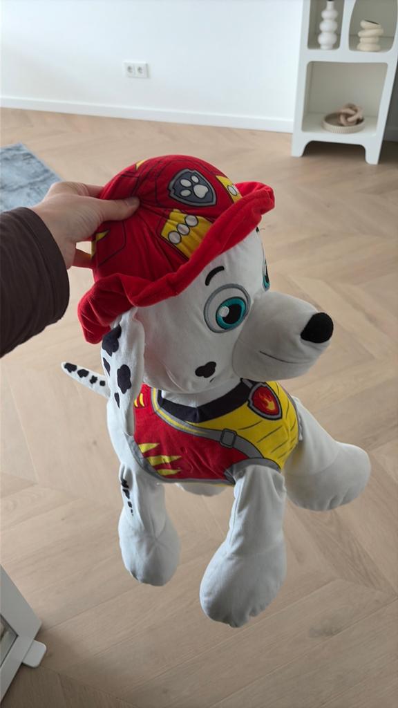Paw patrol, Ophalen of Verzenden, Zo goed als nieuw, Hond