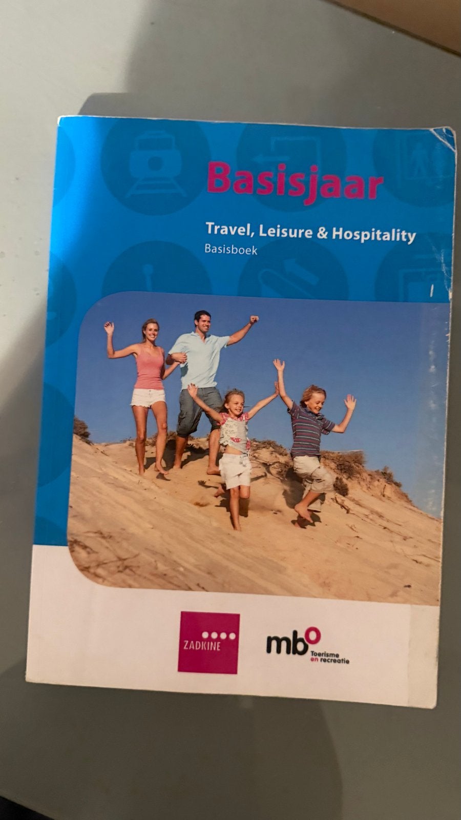Basisjaar Travel, Leisure & Hospitality Basisboek, Boeken, Ophalen of Verzenden, Gamma, Gelezen, MBO