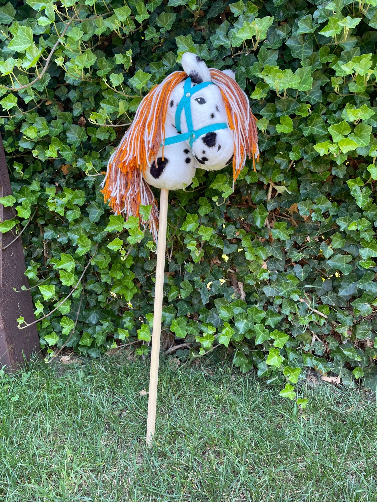 Fien en Teun Stip het paard - Hobbyhorse - Stokpaardje, Ophalen, Gebruikt, Jongen of Meisje