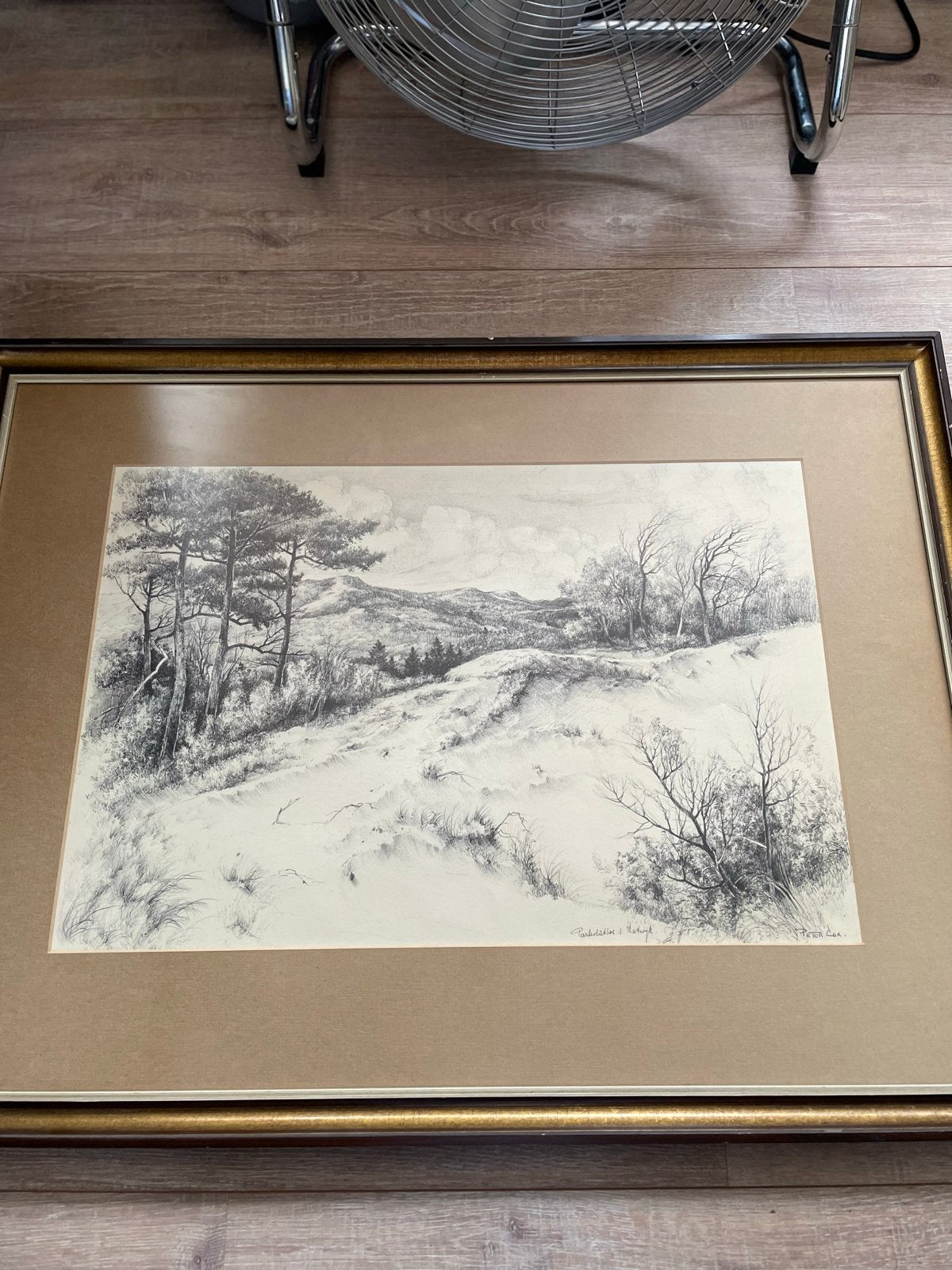 Ingelijste potloodtekening van landschap peter cox, Ophalen of Verzenden, Tekening, Potloodtekening, Gesigneerd