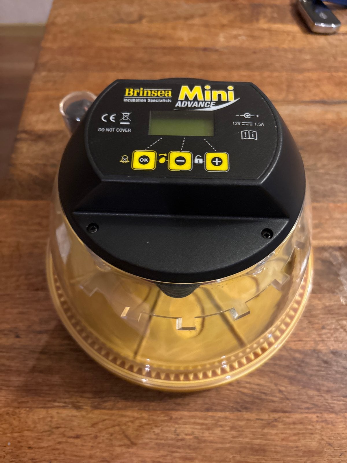 Brinsea mini advanced incl hygrometer, Dieren en Toebehoren, Ophalen of Verzenden, Zo goed als nieuw, Broedmachine