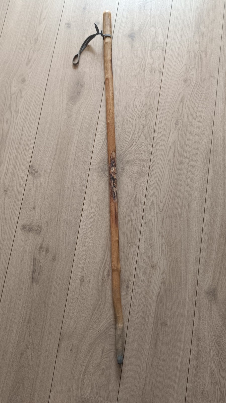 wandelstok, Ophalen of Verzenden, Gebruikt