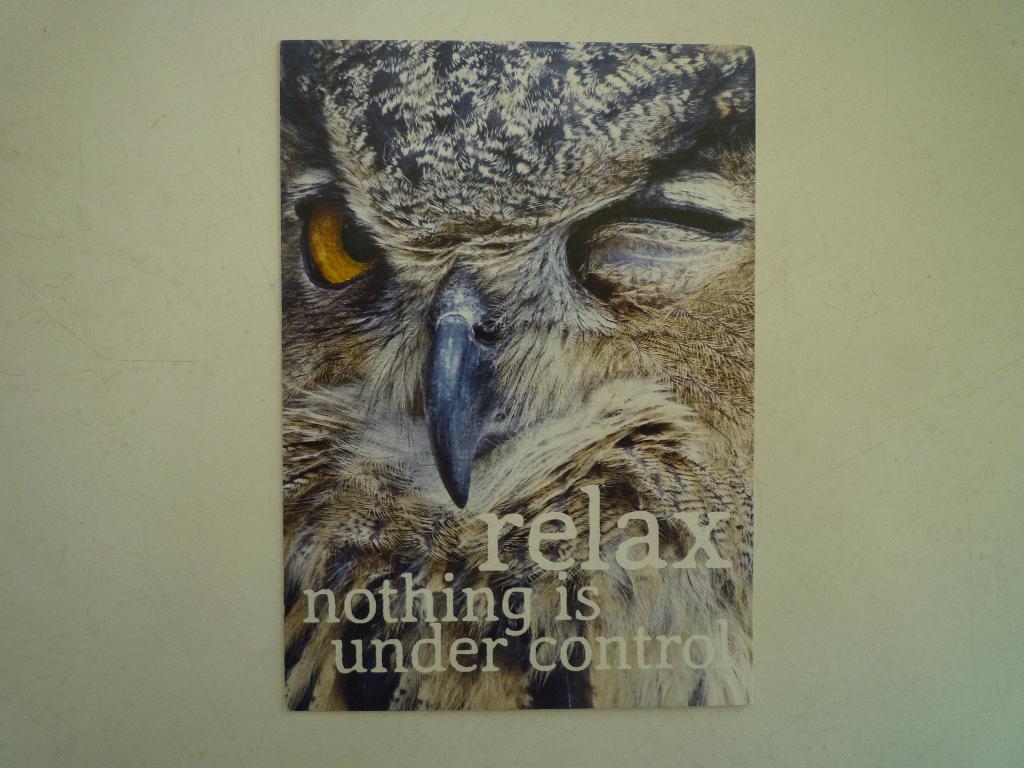 Uil uilen vogels tekst relax nothing is under control, Ophalen of Verzenden, 1980 tot heden, Wild dier