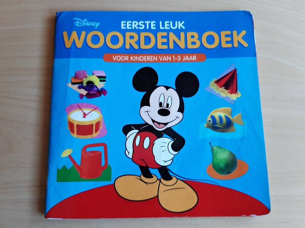 Disney - eerste leuk woordenboek, Ophalen of Verzenden, Gelezen, Disney, 6 tot 12 maanden