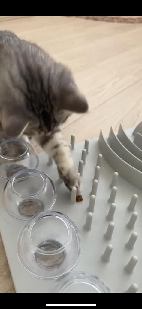 Kattenspel, Ophalen of Verzenden, Zo goed als nieuw