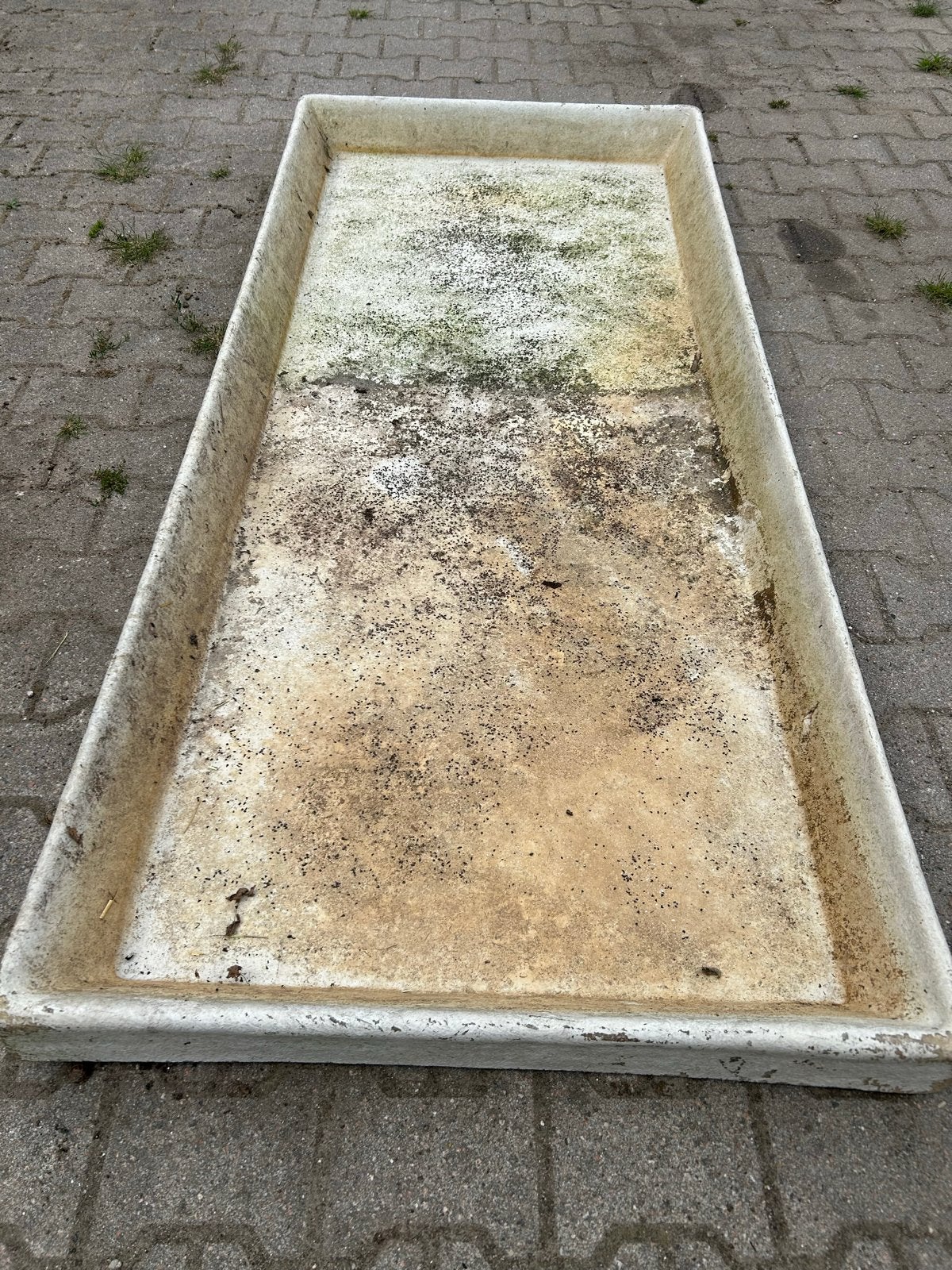 Voetbad bak, Dieren en Toebehoren, Schapen, Geiten en Varkens, Meerdere dieren, Schaap, 6 jaar of ouder