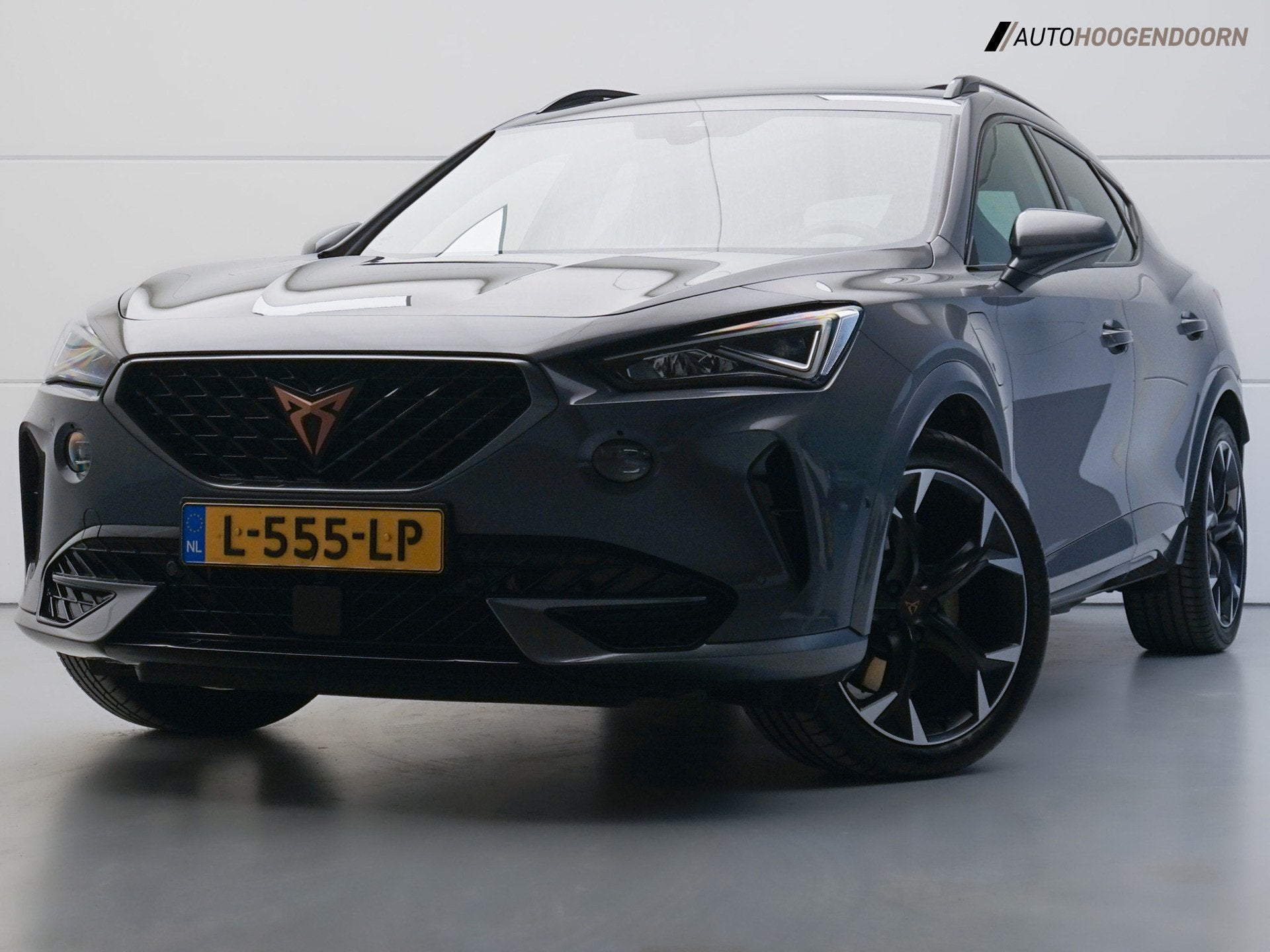 Cupra Formentor 1.4 e-Hybrid VZ Performance 245pk (APPLE CAR, Auto's, Gebruikt, Euro 6, 4 cilinders, Formentor
