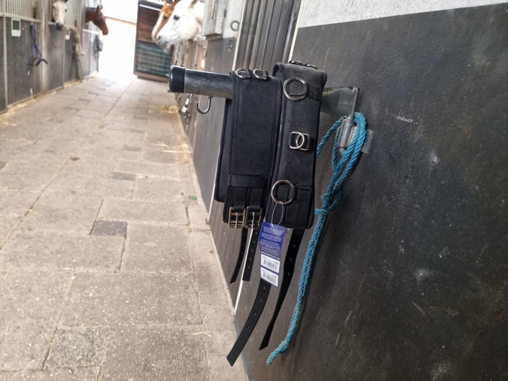 Nieuwe Harry's Horse longeersingel COB (evt ruilen v. FULL), Dieren en Toebehoren, Ophalen of Verzenden, Nieuw, Overige soorten