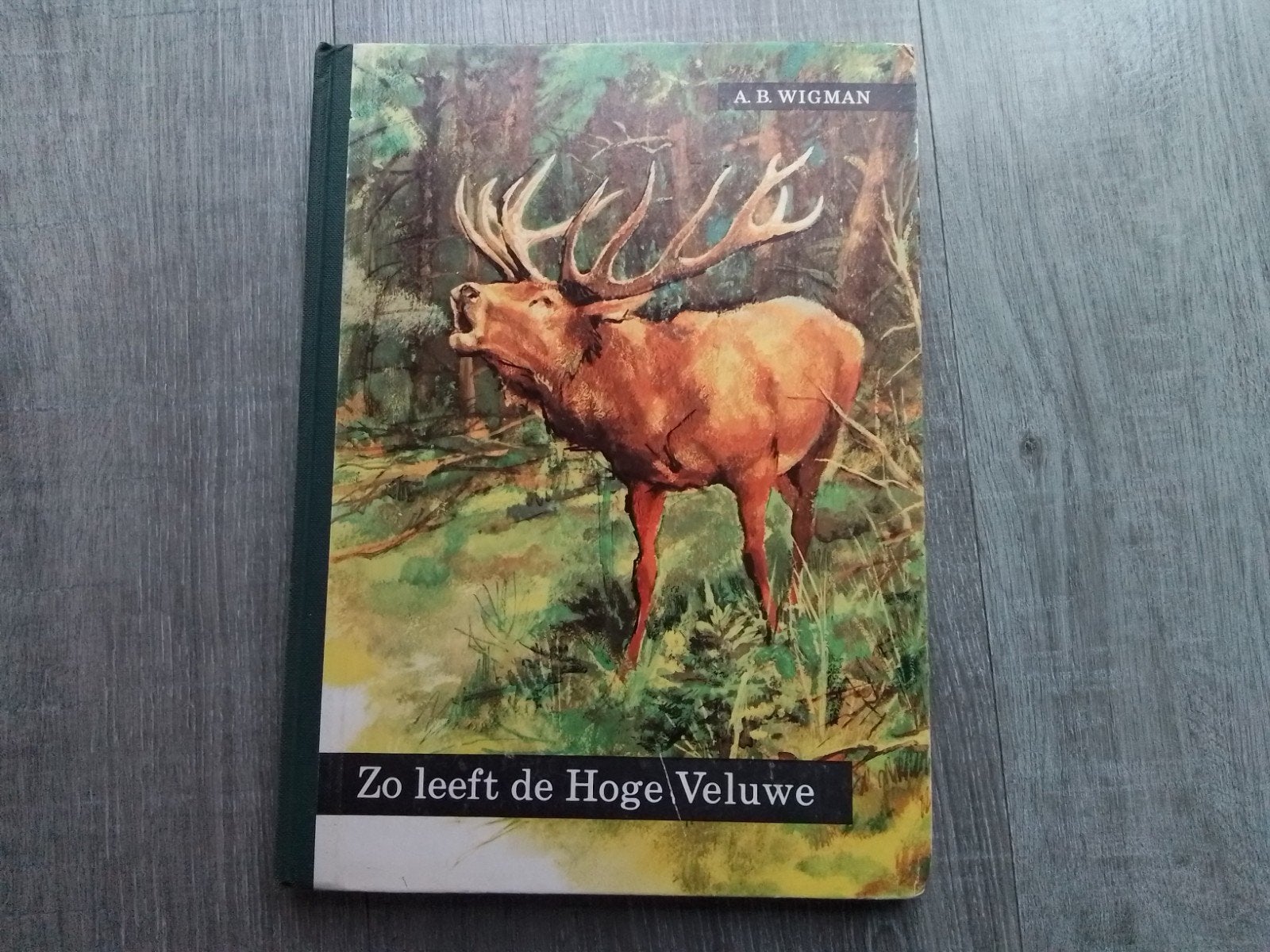 Oud boek zo leeft de hoge veluwe a.b wigman, Ophalen of Verzenden, Gelezen
