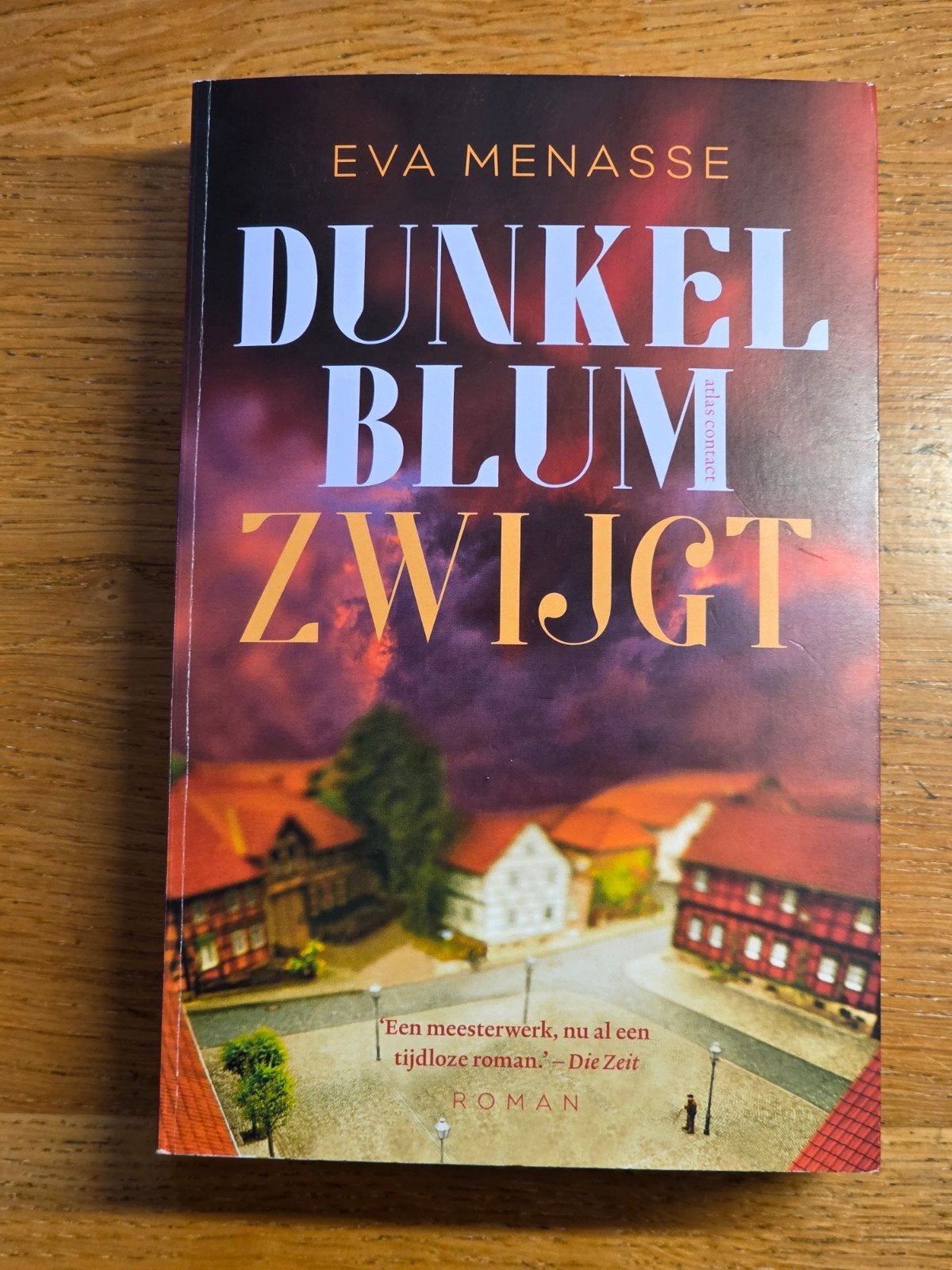 Dunkelblum Zwijgt - Eva Menasse (Roman), Ophalen of Verzenden, Zo goed als nieuw, Eva Menasse, Europa overig