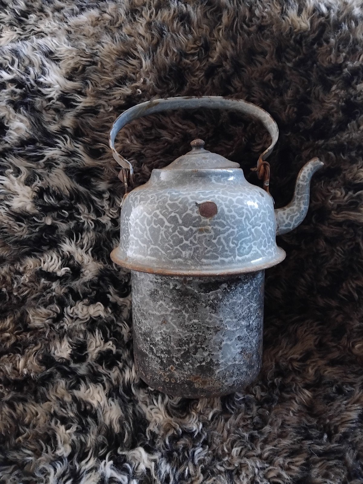 Antieke geëmailleerde waterkoker/ theepot - vintage decorati, Ophalen of Verzenden