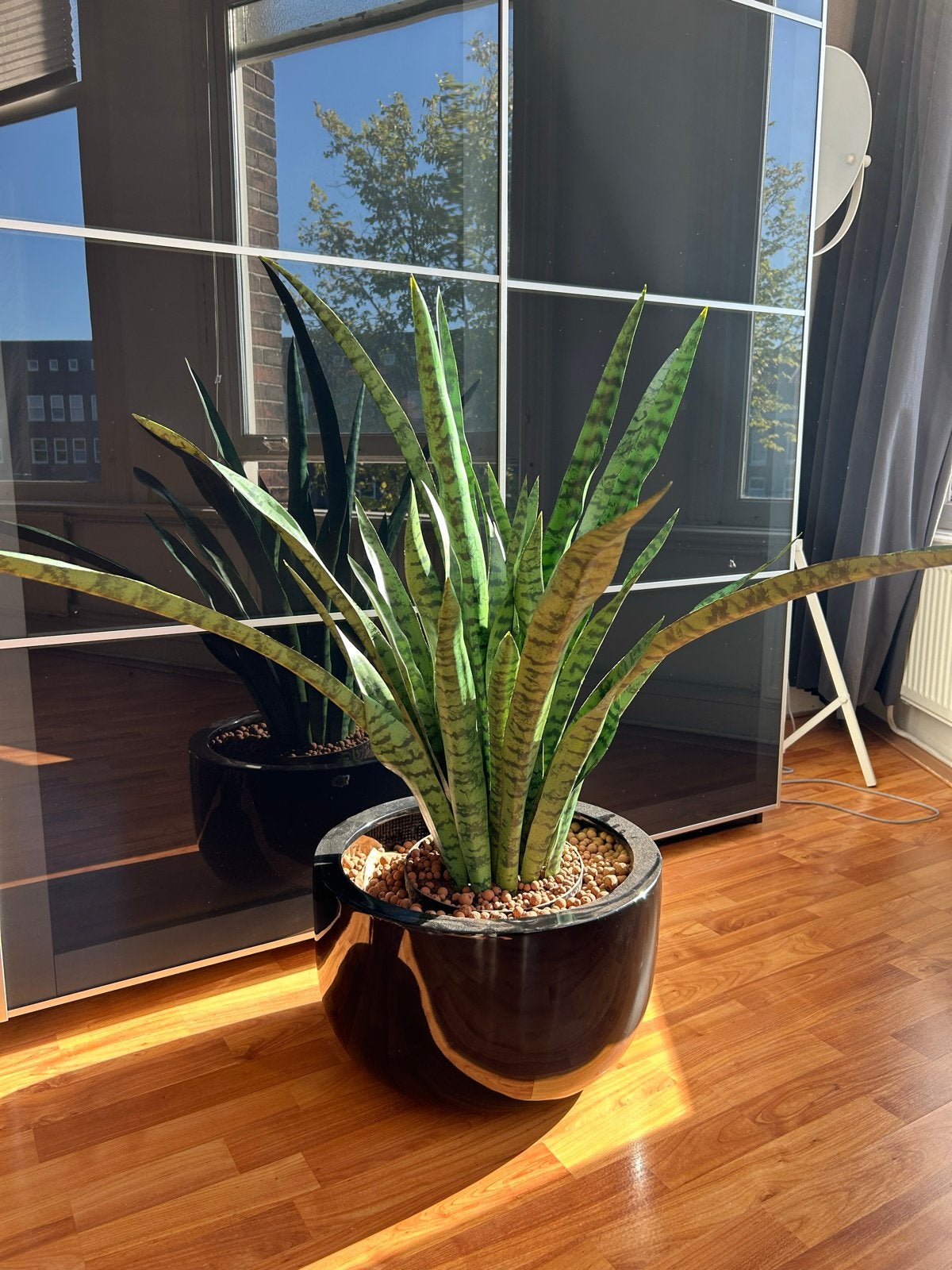 Grote kunst sanseveria in Vase The World pot, Ophalen, Binnen, Groen, Kunstplant