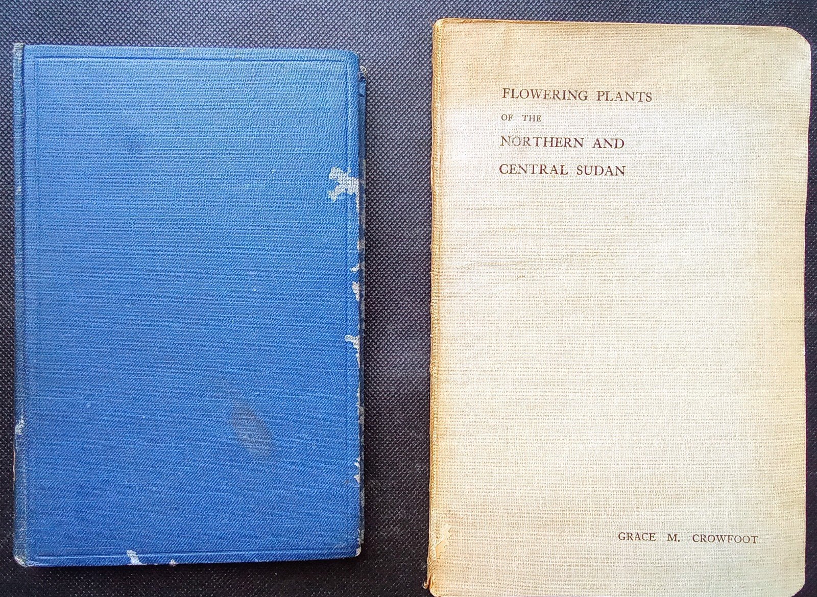 Zeldzaam: twee boeken Flora Soedan (1928, 1929), Ophalen of Verzenden