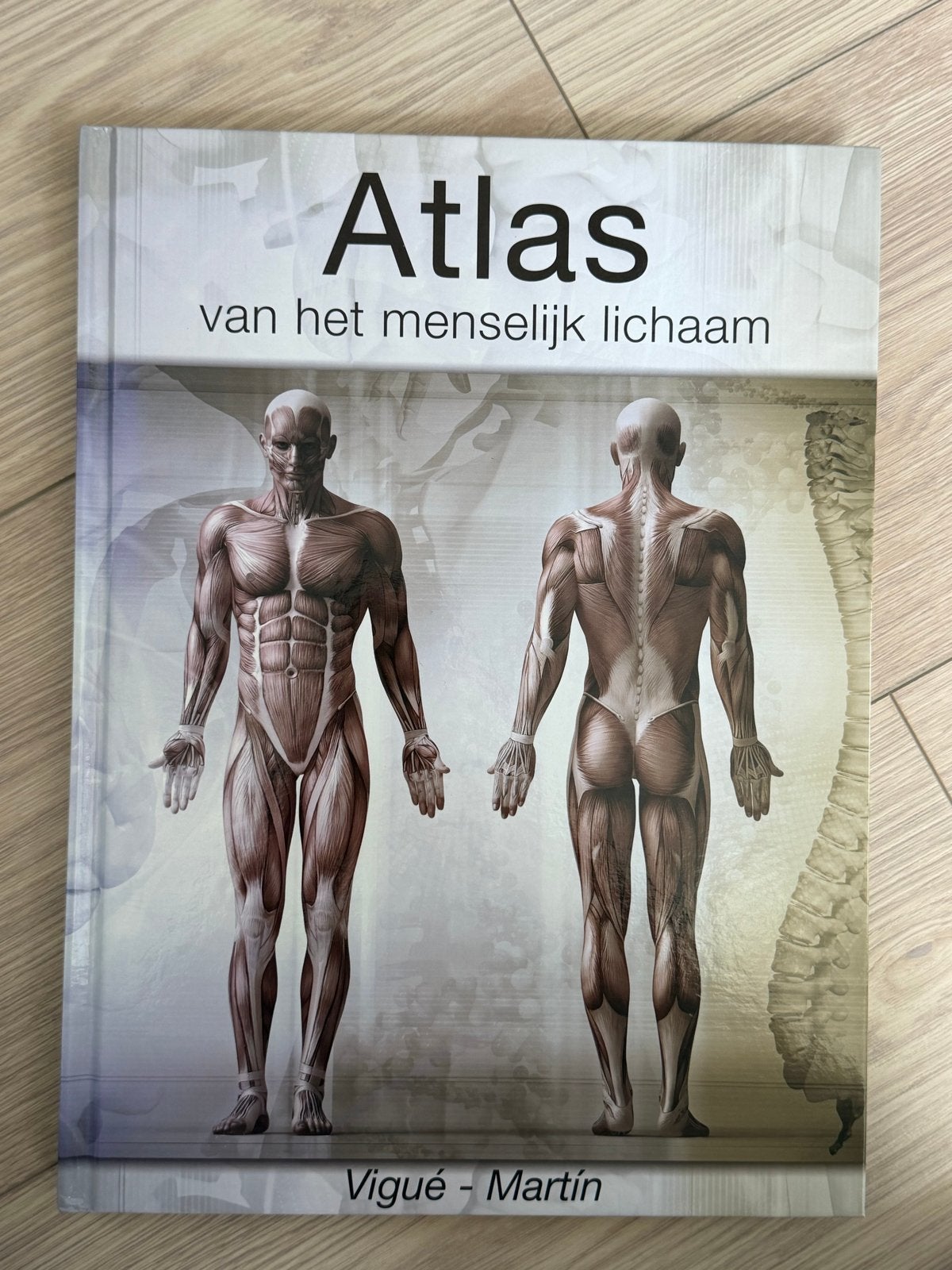 Atlas van het menselijk lichaam - Vigué-Martín, Boeken, Ophalen of Verzenden, Zo goed als nieuw, Natuurwetenschap