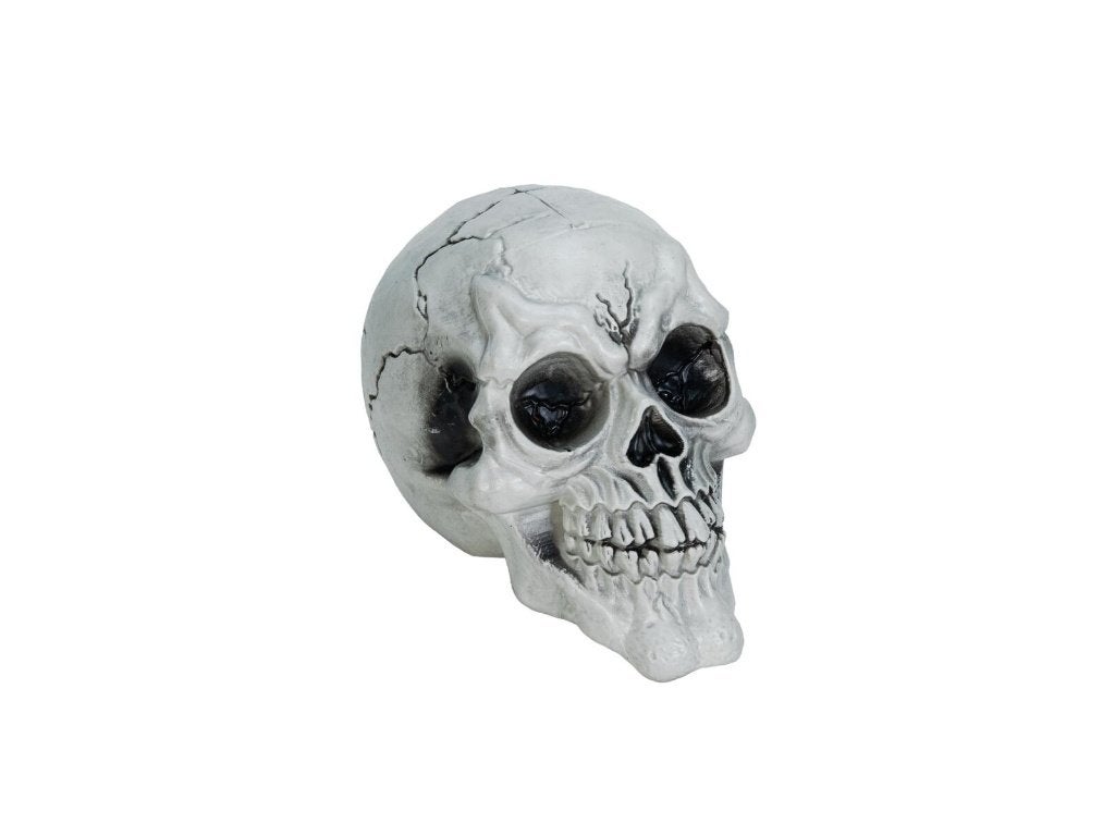 Europalms Halloween Schedel - Set van 3 stuks, Halloween of Griezel, ., Nieuw, Ophalen of Verzenden