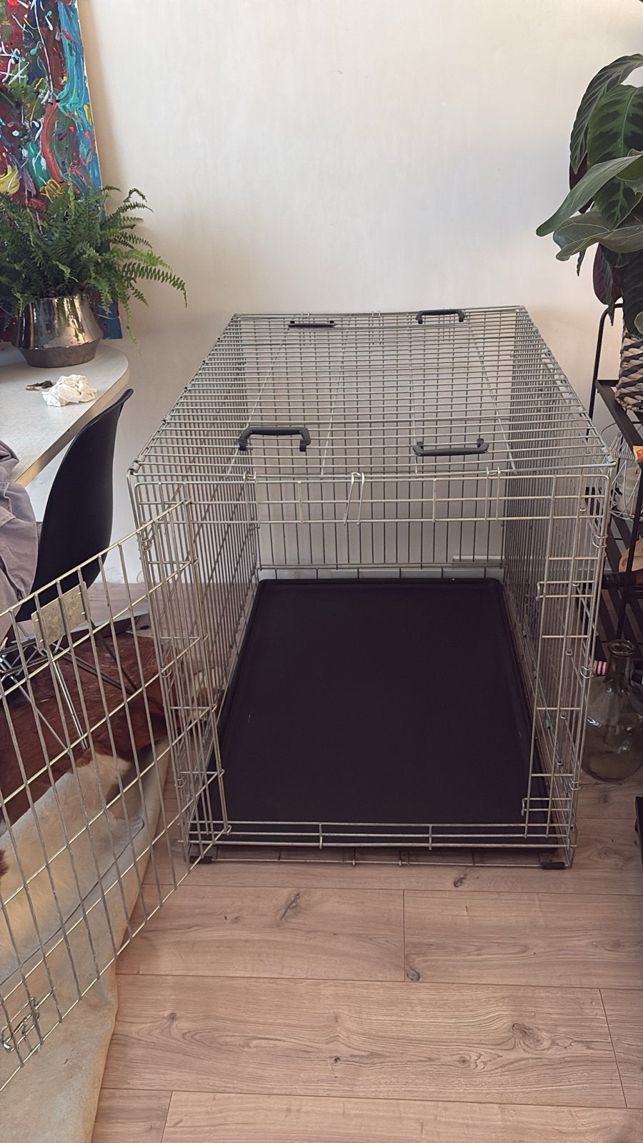 Grote XXL hondenbench, Dieren en Toebehoren, Ophalen, Gebruikt