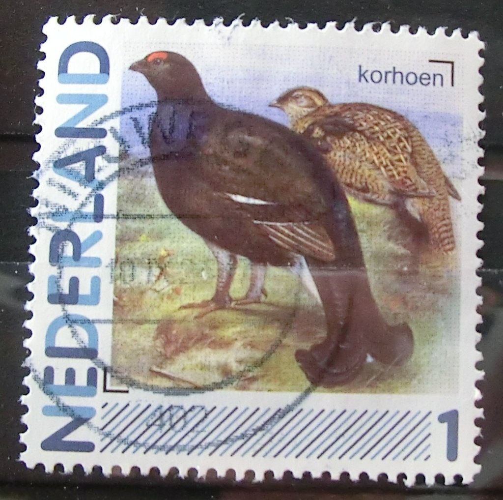 persoonlijke postzegel, Vogels, gest (lees aub), Ophalen of Verzenden, Na 1940, Gestempeld