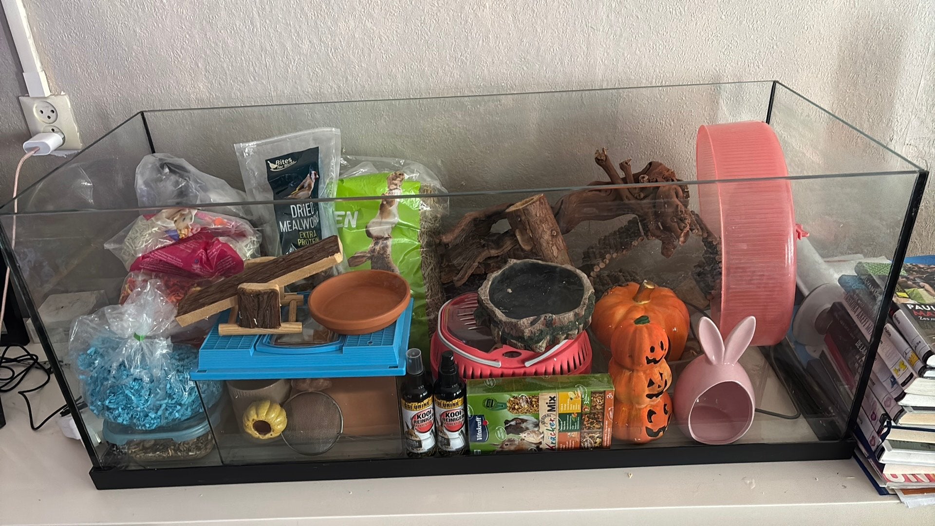 Hamster spullen/ terrarium. Je mag lager bieden!, Dieren en Toebehoren, Hamster, April, Vrouwelijk, Tam