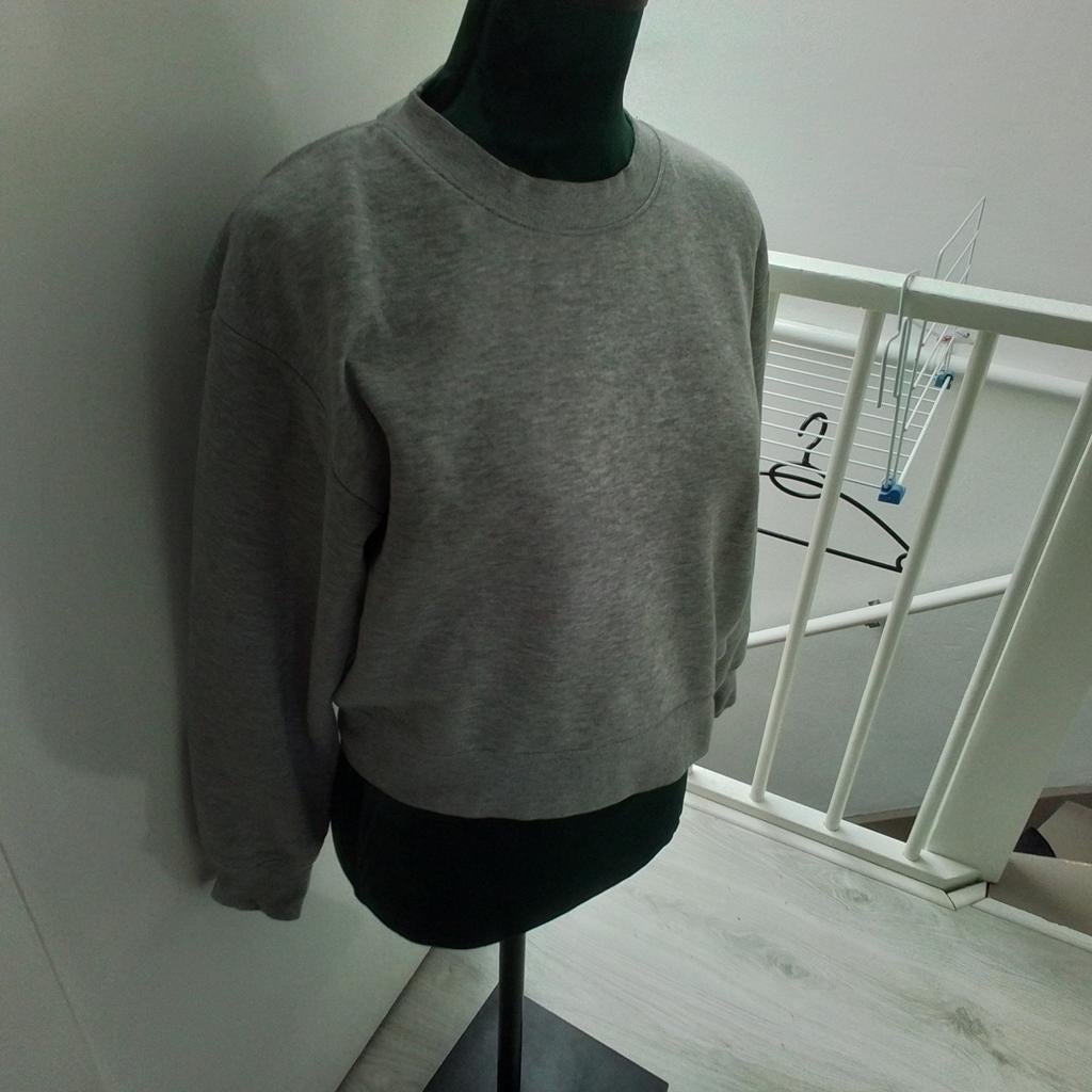 Sweater, Kleding | Heren, Truien en Vesten, Ophalen of Verzenden, Gedragen, Grijs