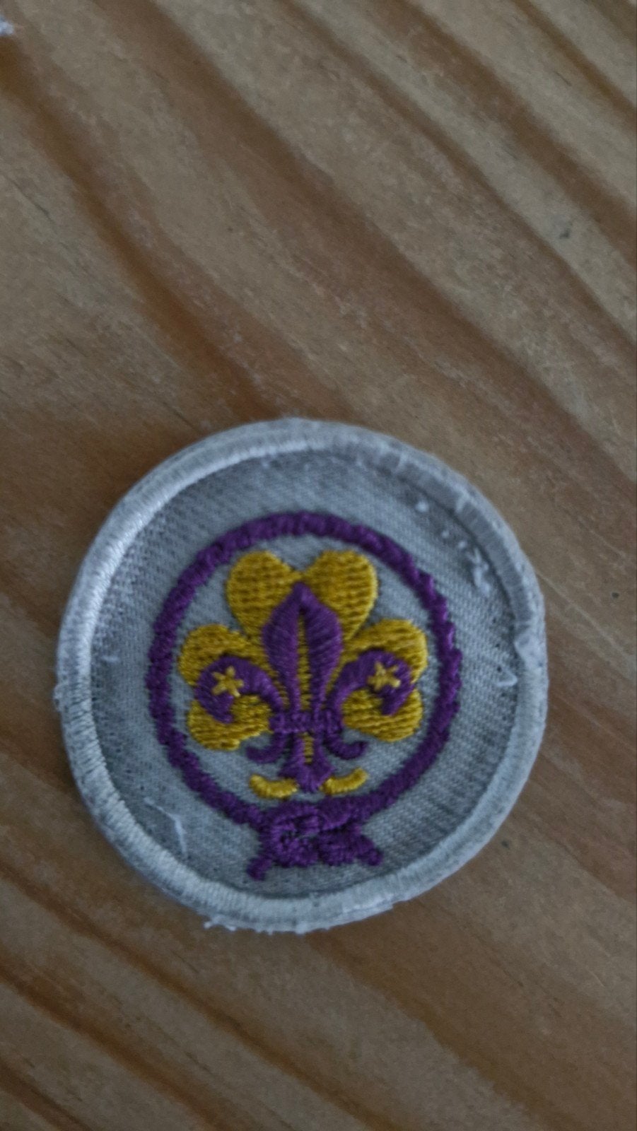 Vintage Scouting Fleur-de-lis Embleem, Ophalen of Verzenden, Gebruikt, Embleem, Speld of Insigne