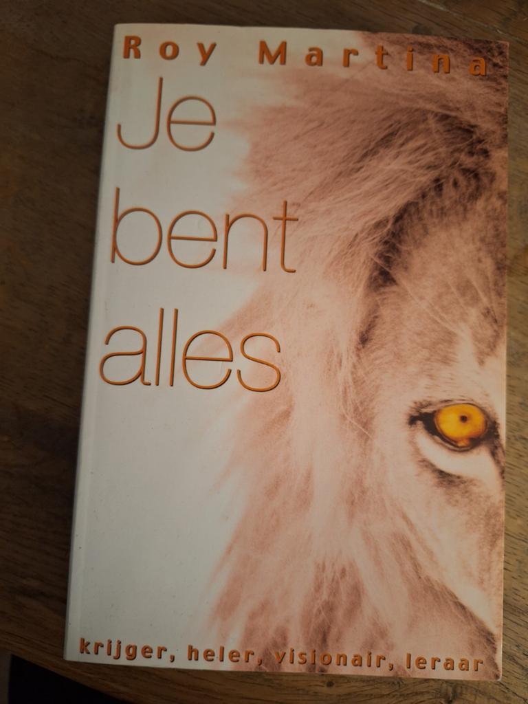 R. Martina - Je bent alles, Sociale psychologie, Ophalen of Verzenden, Zo goed als nieuw, R. Martina