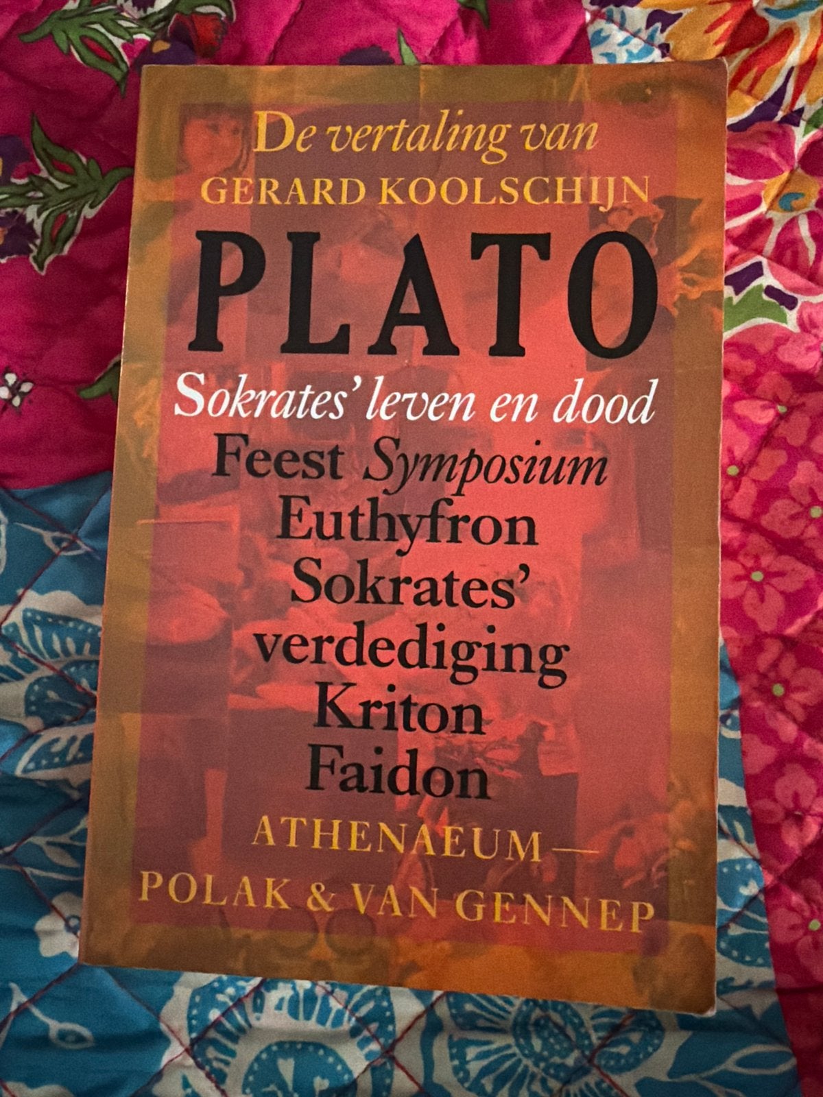 Plato: Sokrates' leven en dood - Gerard Koolschijn, Ophalen of Verzenden, Gelezen, Nederland