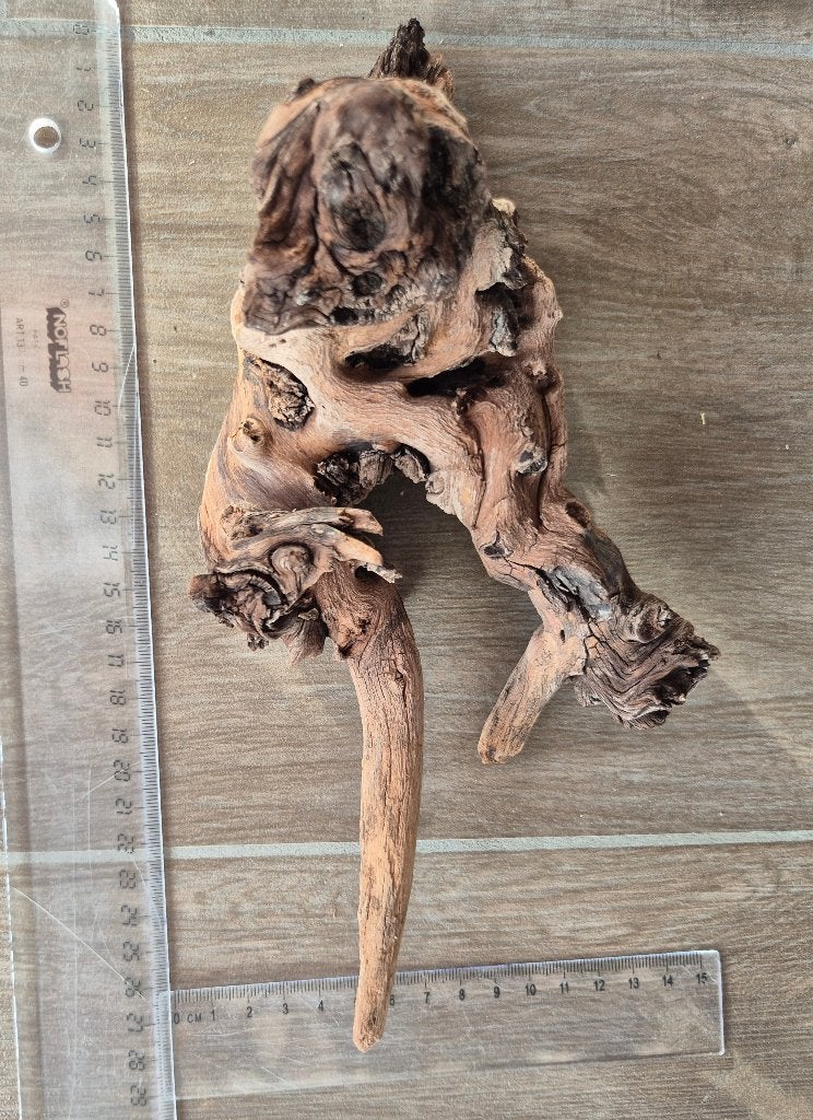 Aquarium kien hout, Ophalen of Verzenden, Zo goed als nieuw, Plant(en), Steen of Hout, Overige merken