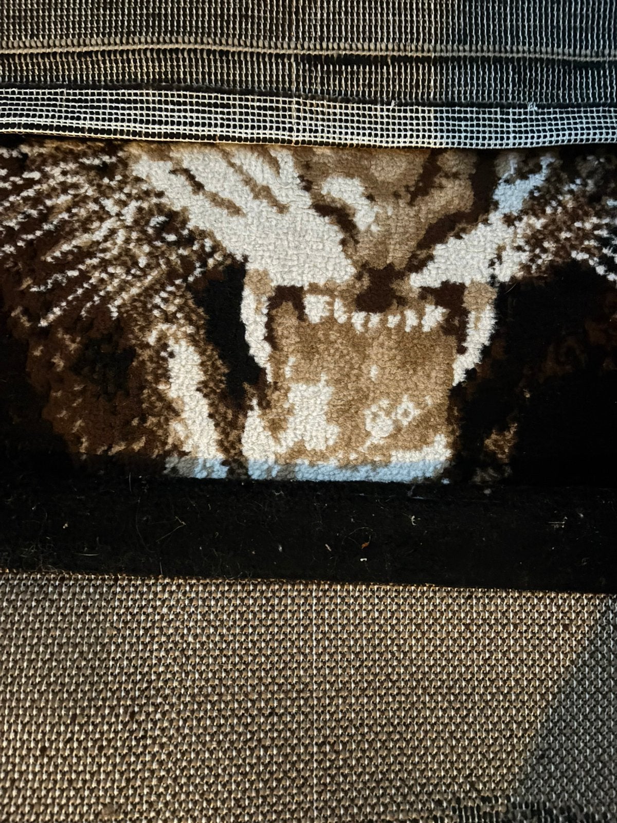 Sier vloerkleedje tijger nu voor 25 euro !, 100 tot 150 cm, Zo goed als nieuw, Zwart, Rechthoekig
