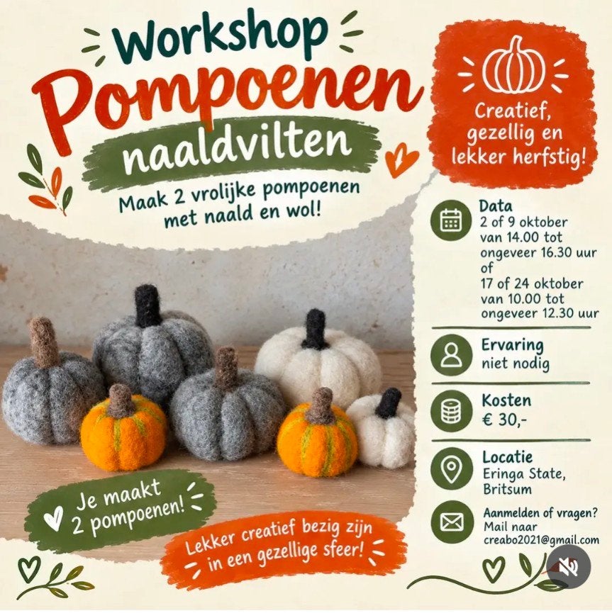 workshop pompoen vilten, Ophalen of Verzenden