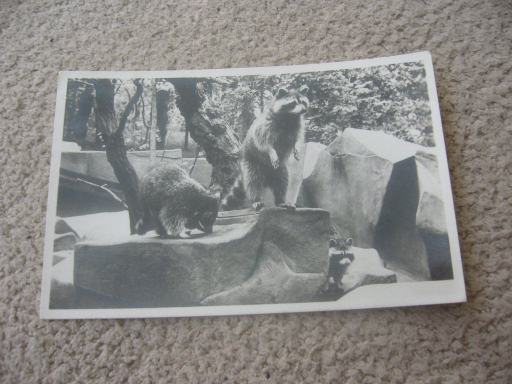 WASSENAAR  = WANDEL , VOGEL EN DIERENPARK   1943, Ophalen of Verzenden, 1940 tot 1960, Gelopen, Zuid-Holland