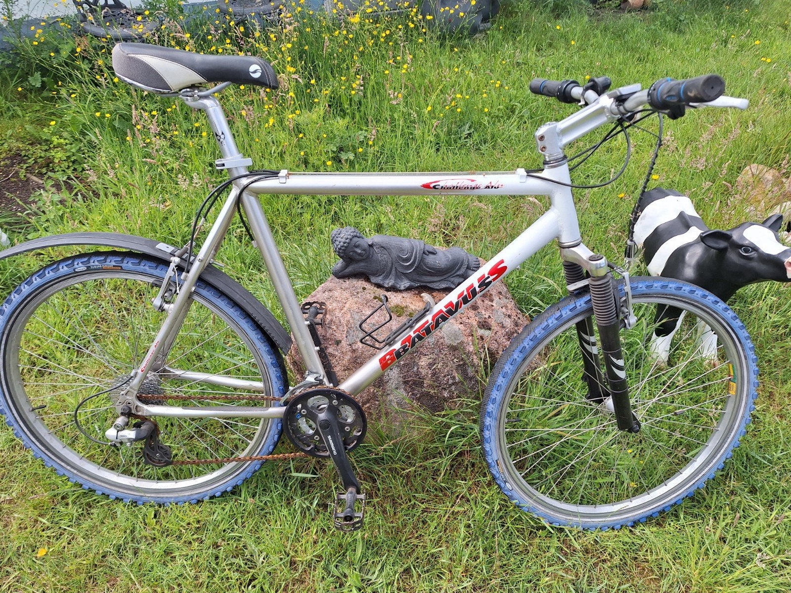 Mountainbike merk batavus, Ophalen, Gebruikt, Overige merken